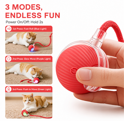 Orbitail™ Interactive Rolling Ball