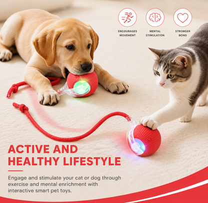 Orbitail™ Interactive Rolling Ball